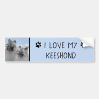 Keeshond Pair of Kees Painting Original Animal Art