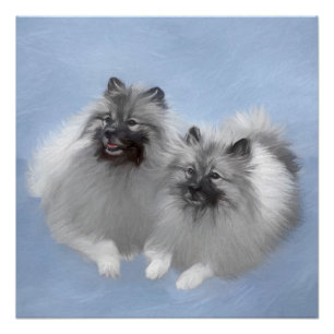 Keeshond Pair of Kees Painting Original Animal Art Poster