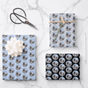 Keeshond Pair of Kees Painting Original Animal Art Wrapping Paper Sheet