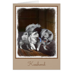 Keeshond Playtime Painting - Cute Original Dog Art