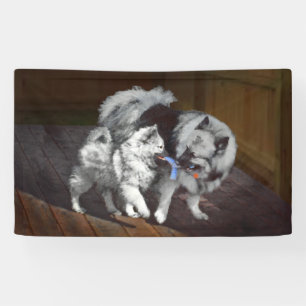 Keeshond Playtime Painting - Cute Original Dog Art Banner