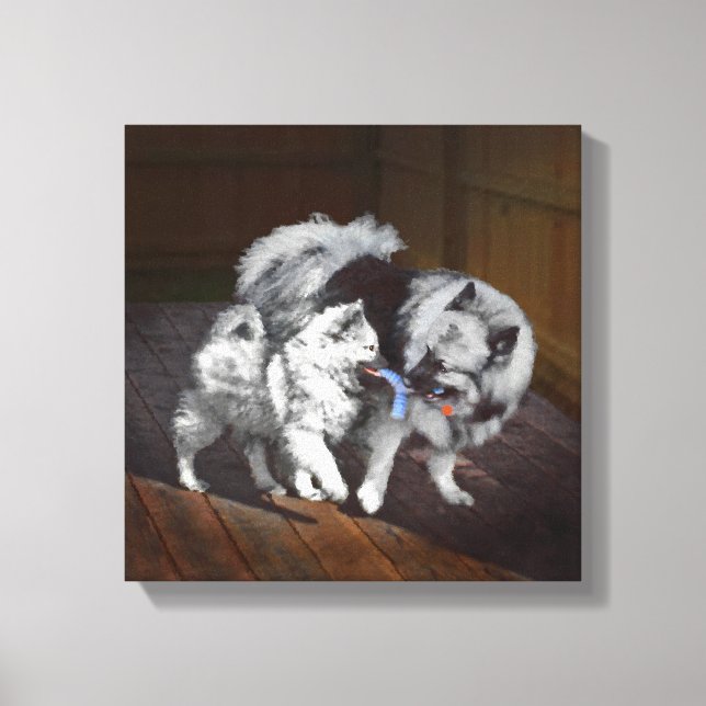 Keeshond Playtime Painting - Cute Original Dog Art Canvas Print (Front)