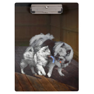 Keeshond Playtime Painting - Cute Original Dog Art Clipboard