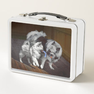 Keeshond Playtime Painting - Cute Original Dog Art Metal Lunch Box