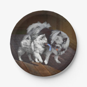 Keeshond Playtime Painting - Cute Original Dog Art Paper Plate