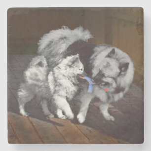 Keeshond Playtime Painting - Cute Original Dog Art Stone Coaster