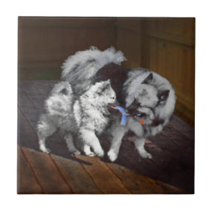 Keeshond Playtime Painting - Cute Original Dog Art Tile