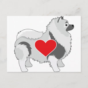 Keeshond Postcard