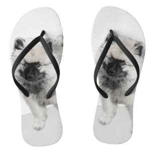 Keeshond Puppy Drawing - Cute Original Dog Art Jandals