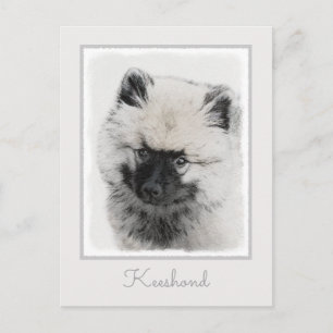Keeshond Puppy Drawing - Cute Original Dog Art Postcard