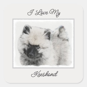 Keeshond Puppy Drawing - Cute Original Dog Art Square Sticker