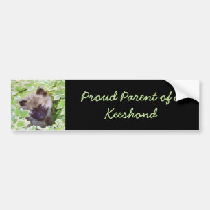 Keeshond Puppy in the Garden Painting Original Art Bumper Sticker