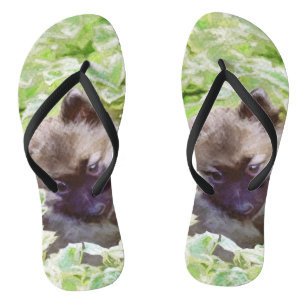 Keeshond Puppy in the Garden Painting Original Art Jandals