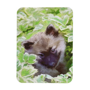 Keeshond Puppy in the Garden Painting Original Art Magnet