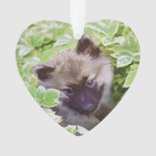 Keeshond Puppy in the Garden Painting Original Art Ornament