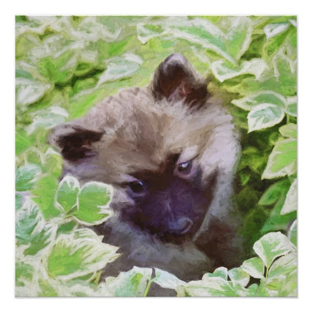 Keeshond Puppy in the Garden Painting Original Art Poster (Front)
