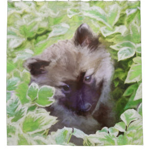 Keeshond Puppy in the Garden Painting Original Art Shower Curtain