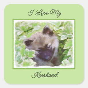 Keeshond Puppy in the Garden Painting Original Art Square Sticker