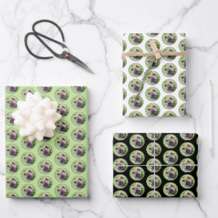 Keeshond Puppy in the Garden Painting Original Art Wrapping Paper Sheet
