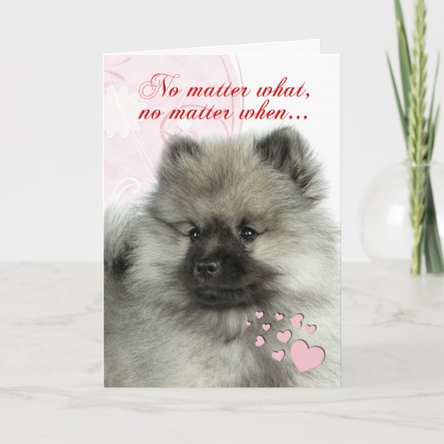 Keeshond Puppy Valentine Holiday Card (Front)