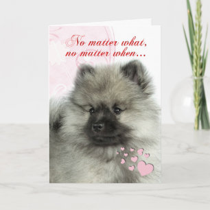 Keeshond Puppy Valentine Holiday Card