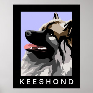 Keeshond Side Portrait Poster