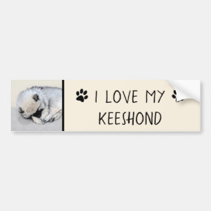 Keeshond Sleeping Puppy Painting Original Dog Art Bumper Sticker