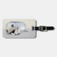 Keeshond Sleeping Puppy Painting Original Dog Art