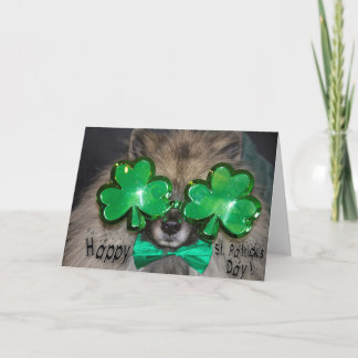 Keeshond St. patrick's Day card