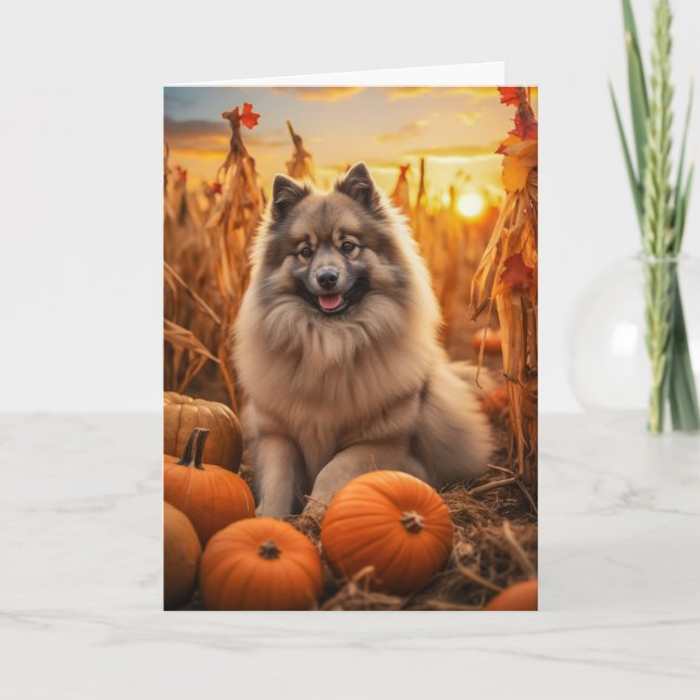 Keeshond Thanksgiving Holiday Card (Front)