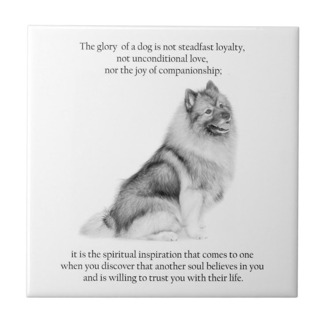 Keeshond Tile (Front)