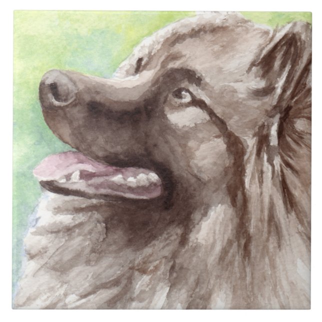 Keeshond Watercolor Portrait Tile (Front)