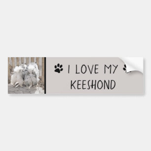 Keeshonds at the Gate Painting - Original Dog Art Bumper Sticker