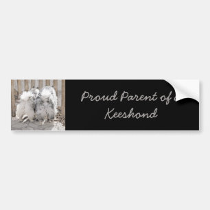 Keeshonds at the Gate Painting - Original Dog Art Bumper Sticker