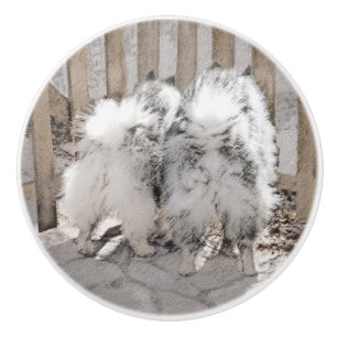 Keeshonds at the Gate Painting - Original Dog Art Ceramic Knob