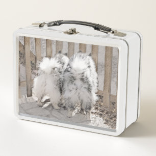 Keeshonds at the Gate Painting - Original Dog Art Metal Lunch Box