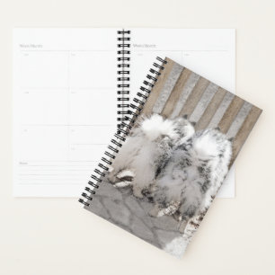 Keeshonds at the Gate Painting - Original Dog Art Planner