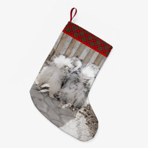 Keeshonds at the Gate Painting - Original Dog Art Small Christmas Stocking