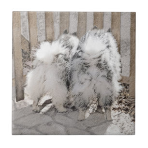 Keeshonds at the Gate Painting - Original Dog Art Tile