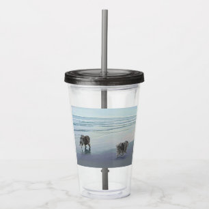 Keeshonds at the Seashore Painting Dog Art Acrylic Tumbler
