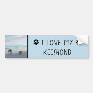 Keeshonds at the Seashore Painting Dog Art Bumper Sticker