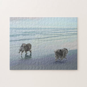 Keeshonds at the Seashore Painting Dog Art Jigsaw Puzzle