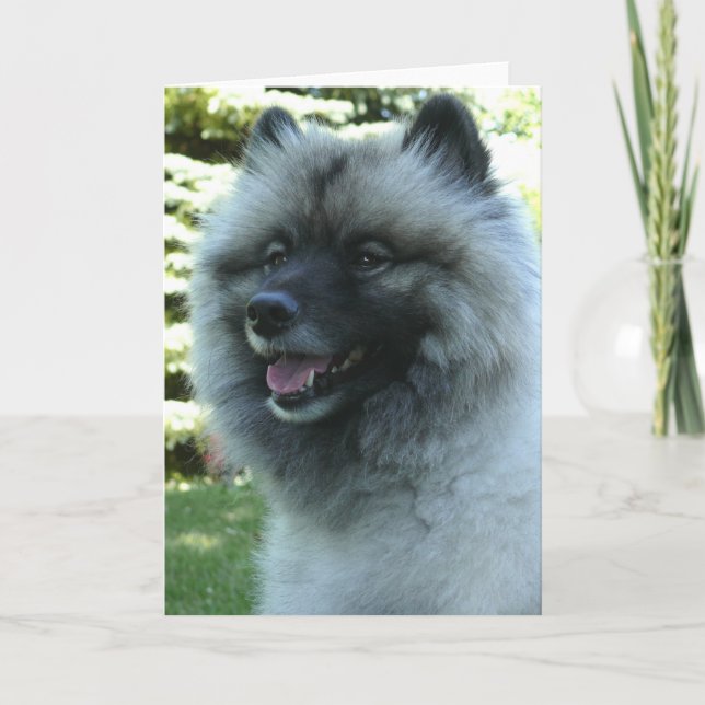 Keeshound Card (Front)