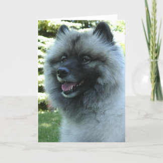 Keeshound Card