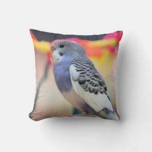 Keet Cushion