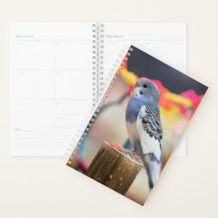 Keet Planner