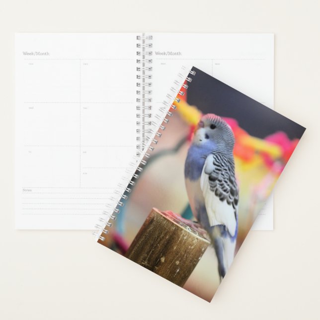 Keet Planner (Display)
