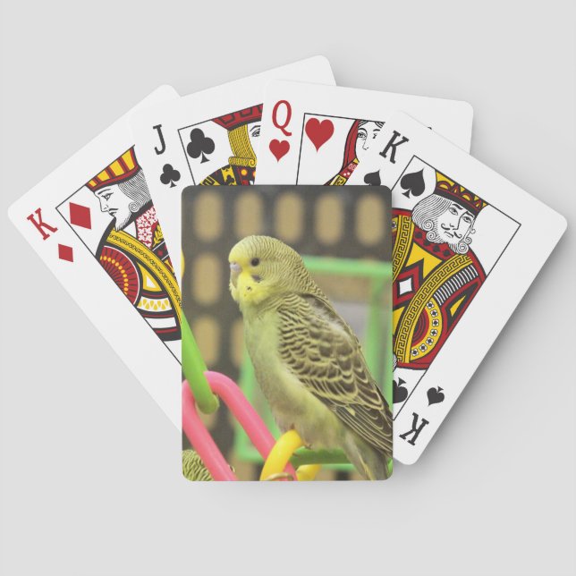 Keet Playing Cards (Back)