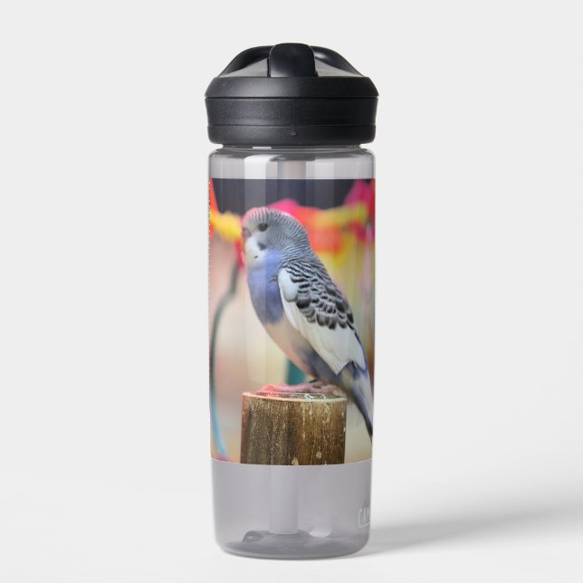 Keet Water Bottle (Front)