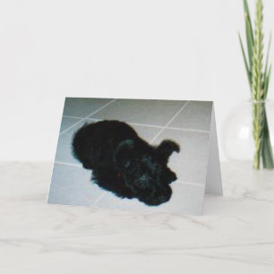 Kelly Boo Pup Greeting Card